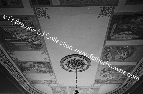 COSBY HALL  CEILING OF LIBRARY